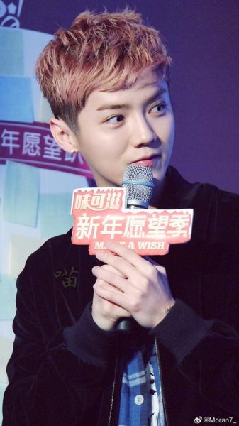 鹿晗是什么生肖属相（鹿晗属什么生肖？新手也能秒懂😎）