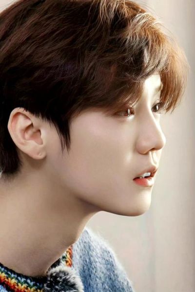 鹿晗是什么生肖属相（鹿晗属什么生肖？新手也能秒懂😎）