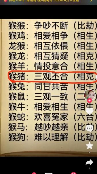 生肖猴喜欢哪个属相(生肖猴最爱的生肖配对是谁)