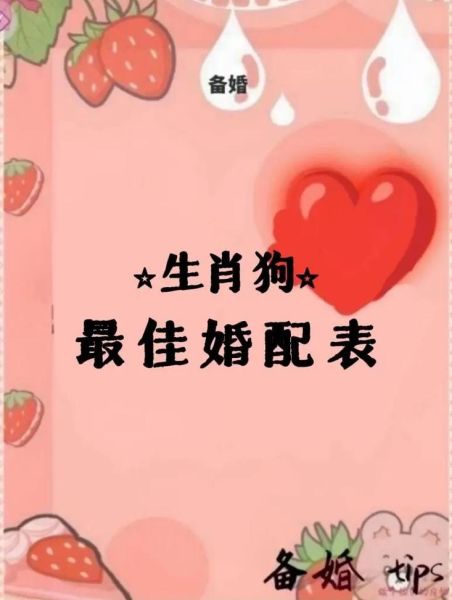 生肖狗属相最合适（属狗和什么属相最配？）