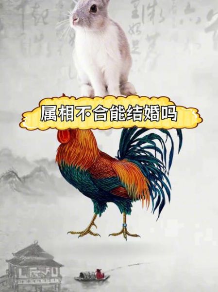 生肖鸡结婚记什么属相（生肖鸡结婚最忌哪个属相）