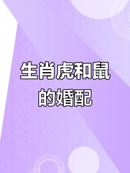 虎鼠生肖属相婚配（虎鼠生肖婚配合不合适）