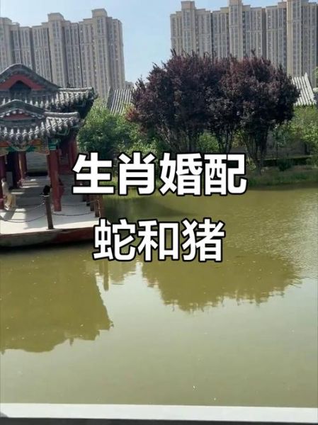 生肖猪与生肖蛇属相(生肖猪与蛇相冲吗?吉凶速查宝典)