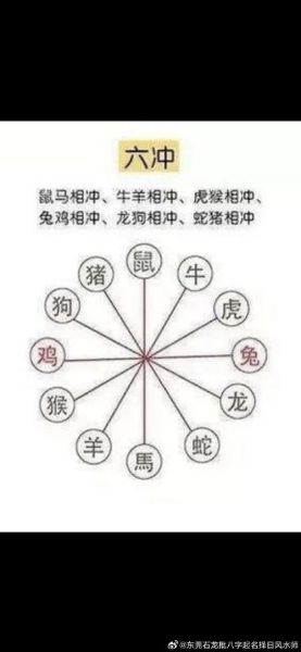 马的生肖属相相冲