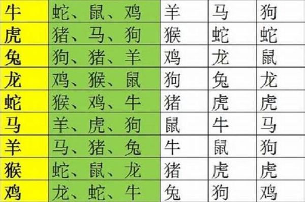 蛇属相合的生肖（蛇和哪些生肖最合 💡姻缘搭档一次看清）