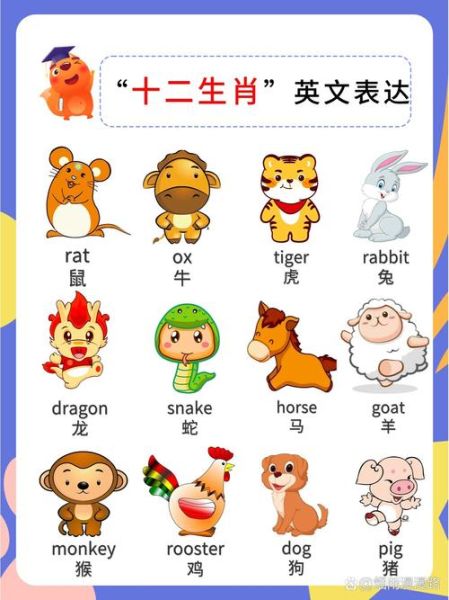 生肖属相英语绘本（生肖属相故事书英语绘本3-6岁怎么选）