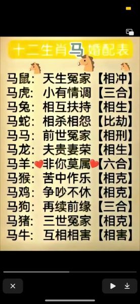 生肖马的属相婚姻（属马的最佳婚姻配对表）