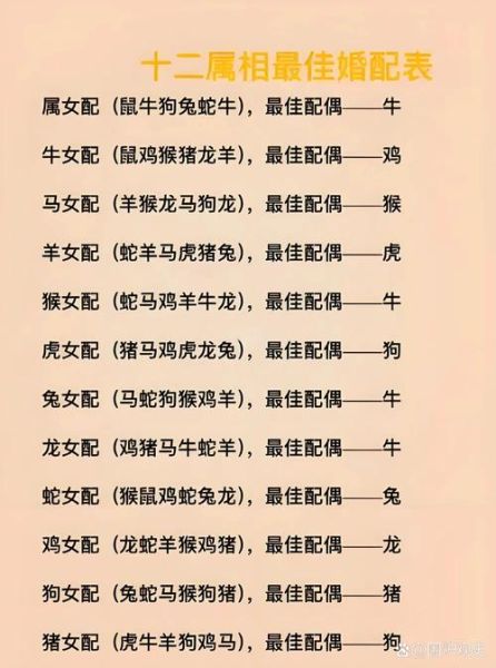 12生肖属相婚姻（12生肖配对婚姻详解）
