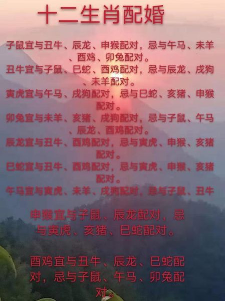 12生肖属相婚姻（12生肖配对婚姻详解）