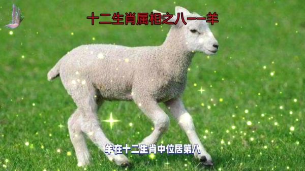 生肖羊有几个属相（生肖羊到底有几个属相？）
