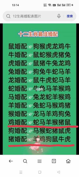 生肖猪婚配最好属相（生肖猪最佳婚配属相是什么）