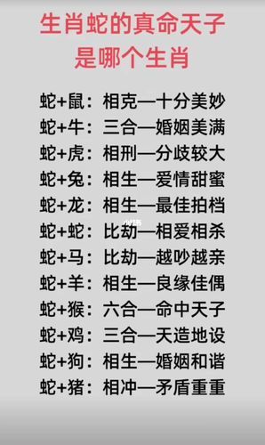 蛇的生肖属相配对（属蛇的最佳生肖配对是谁？）