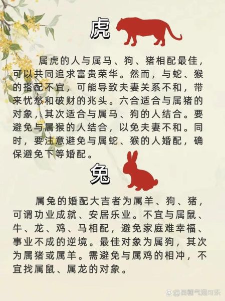 生肖血型属相配对（生肖血型配对姻缘解析）