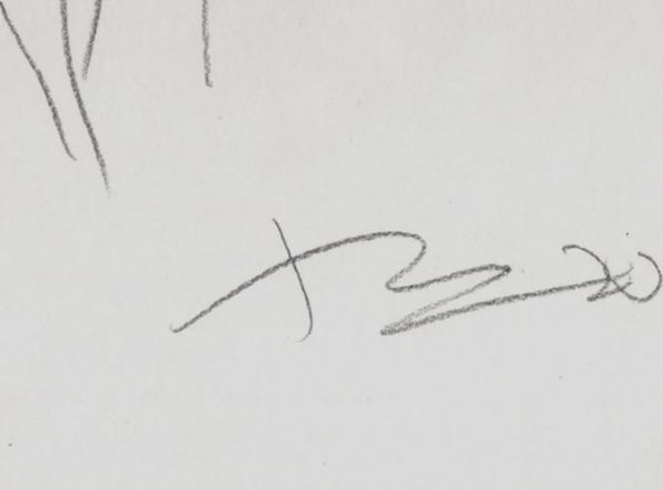 刘小东属于何种生肖属相（刘小东属什么生肖？新手轻松看懂）