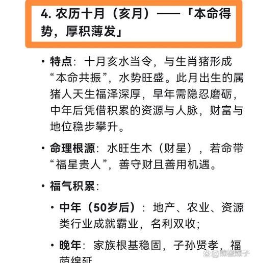 乙亥是什么属相的生肖（乙亥年出生的人属什么生肖）