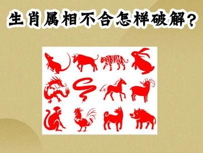 生肖属相不合父母生病（生肖属相不合父母真的生病吗）