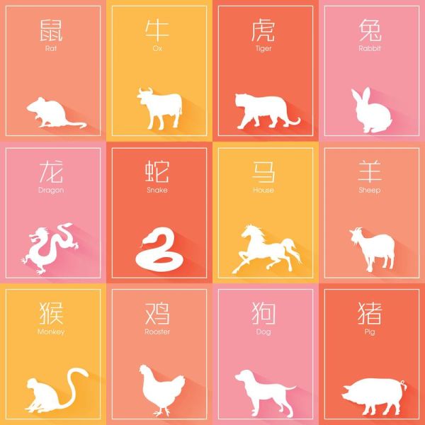 墨西哥十二生肖属相（墨西哥十二生肖属相是什么）