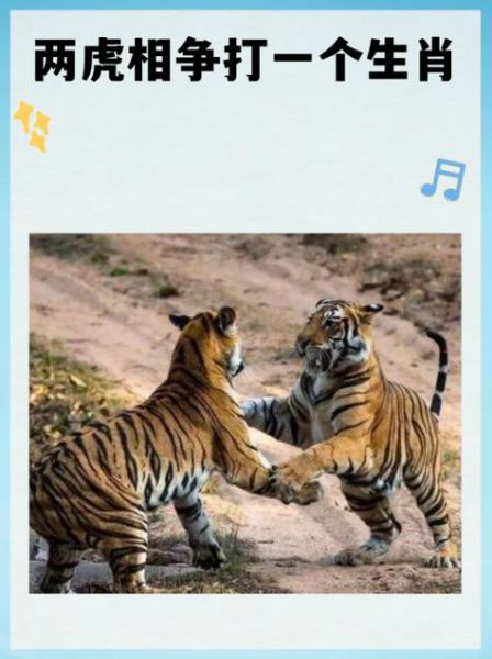 虎跟什么生肖是同类属相（虎和什么生肖是同类属相）