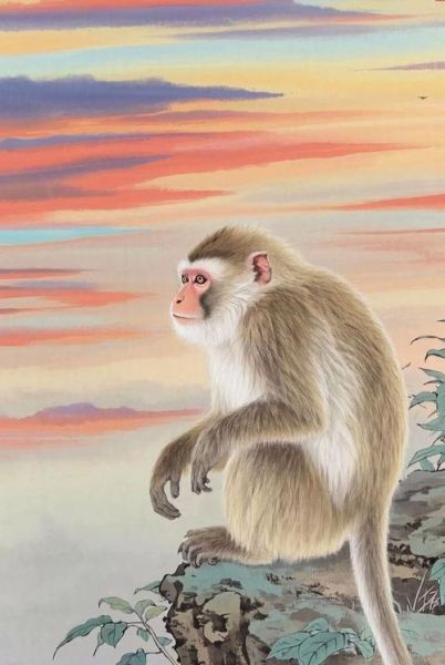 生肖属相模板视频猴（生肖属相模板视频猴制作教程）