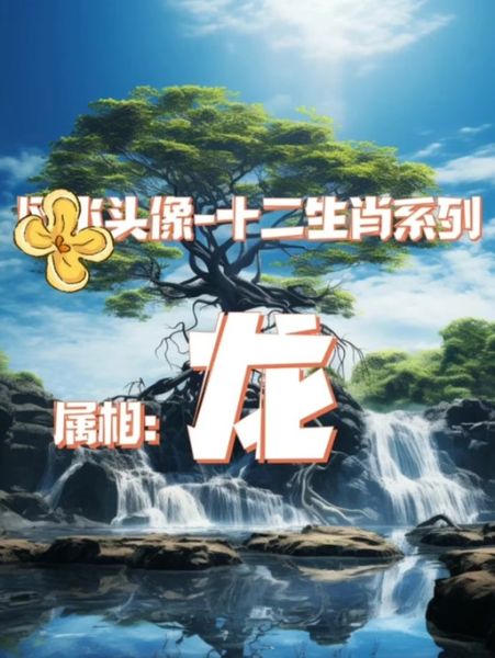 黑土属相是什么生肖(黑土属相是什么生肖?一查就懂)