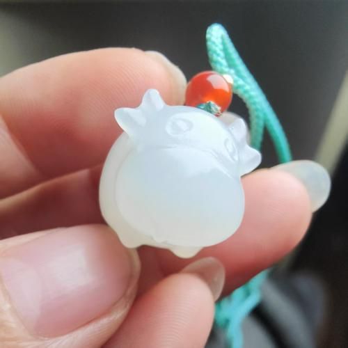 生肖属相玉值钱吗图片（生肖属相玉吊坠值不值钱小白扫盲贴）