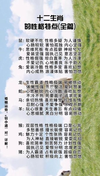 布法尔属什么生肖属相（布法尔属什么生肖？揭秘他的属相与性格）