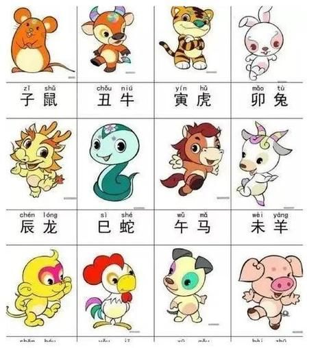 2022是什么生肖属相（2022年属相是什么生肖）