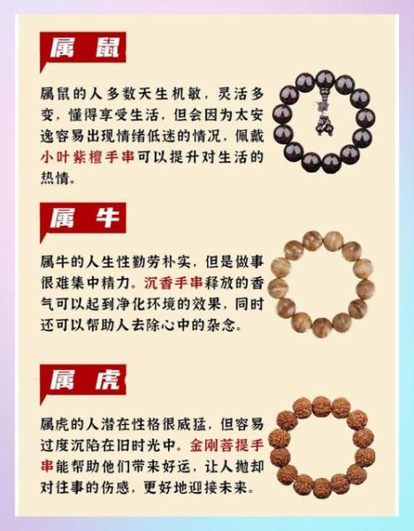 生肖属相裤带（生肖属相裤带怎么选？新手避坑指南）