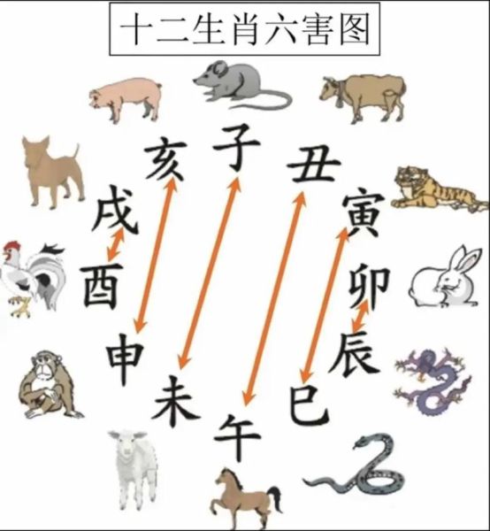 道家生肖属相（道家生肖属相怎么对应）