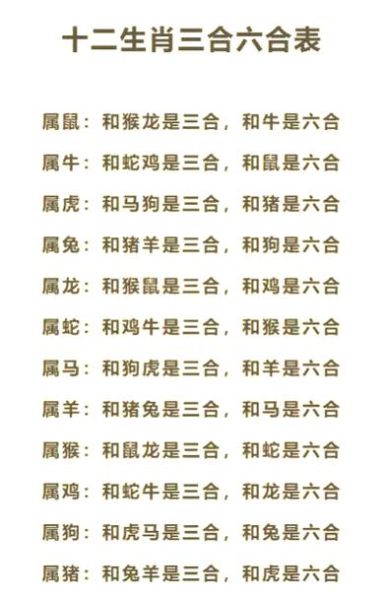 马和蛇生肖属相（马和蛇的属相到底合不合婚）