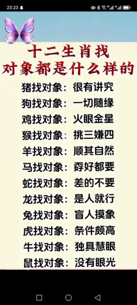 生肖鼠对象的属相（生肖鼠找对象属什么最合🐭💝）