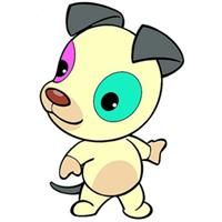 加索尔属什么生肖属相