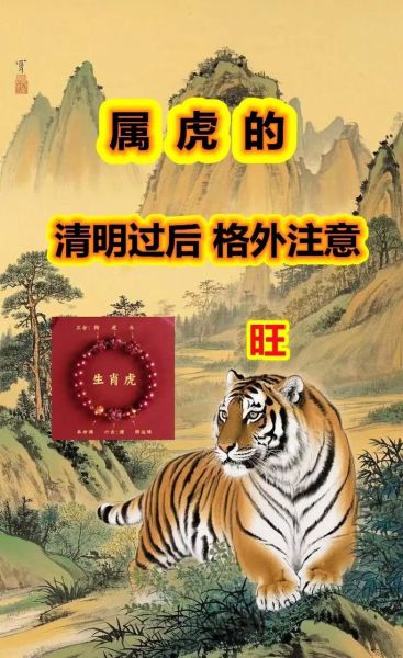 虎属相下来是啥生肖（虎属相下来是什么生肖）