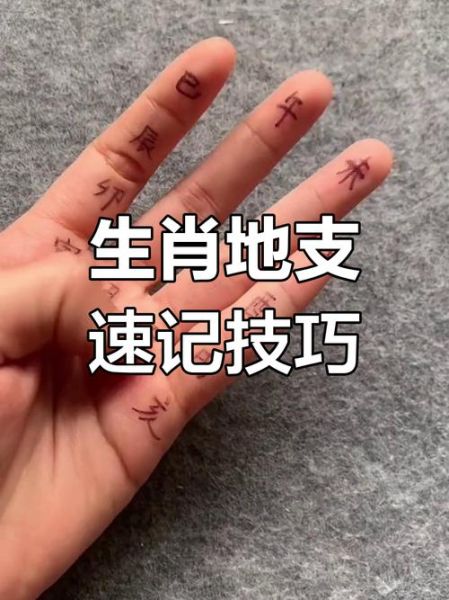 手掌速记生肖属相(手掌速记生肖属相口诀图解大全)