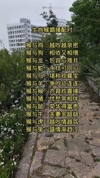 生肖女猴最佳配偶属相（属猴女最适合什么生肖婚配）