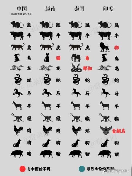 视觉生肖有哪些属相
