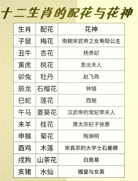 生肖属相和花（属相对应的开运花有哪些）