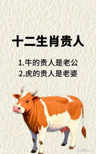 十二生肖牛属相什么（牛属相哪年出生最容易遇贵人）