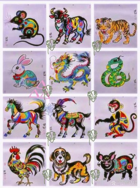 皮毛黝黑的生肖男女属相（皮毛黝黑的生肖男女属相是哪几个）