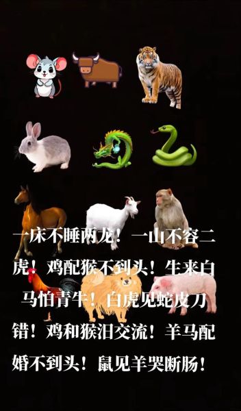 生肖属相都不合（生肖属相都不合能结婚吗）