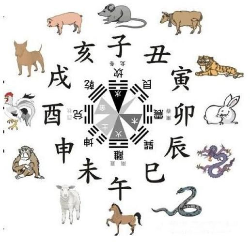 通过卦象算生肖属相（怎样用卦象查自己属什么生肖）