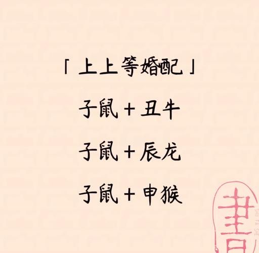 生肖鼠最佳配偶属相（生肖鼠最佳配偶属相是什么？）