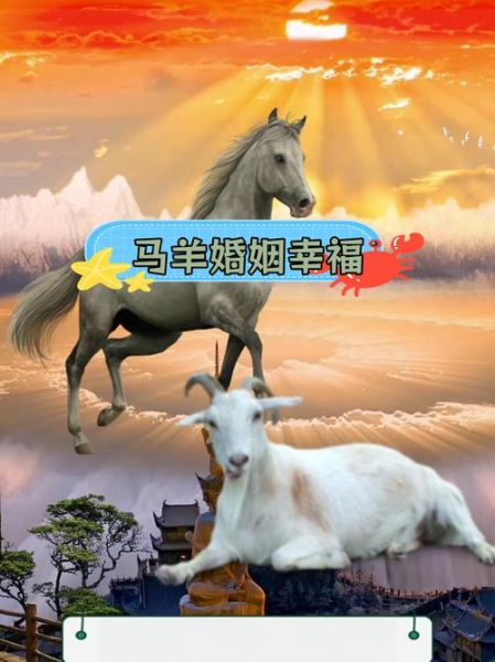 生肖羊和生肖马属相合吗