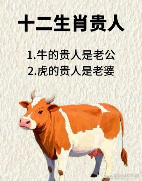 许夫人什么生肖属相(许夫人到底属什么生肖?)