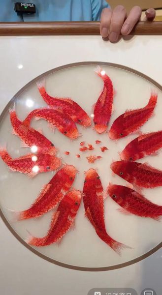 鱼代表什么生肖属相(鱼代表什么生肖)