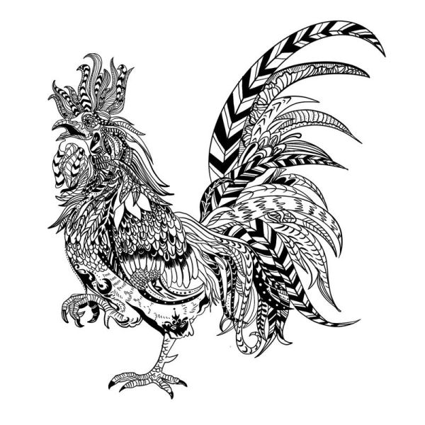 黑白属相是什么生肖