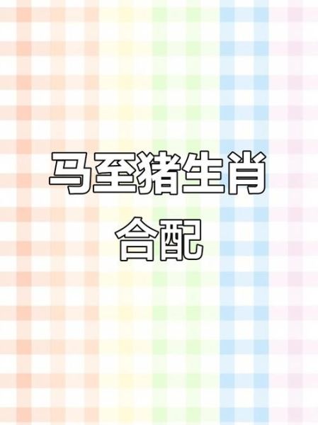 猪马配对生肖属相(猪马配对生肖属相好吗)