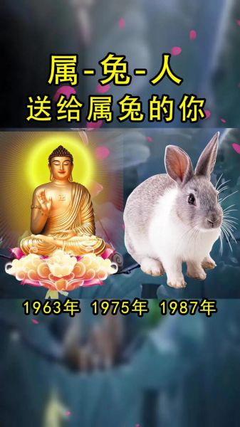 生肖兔讨厌的属相（生肖兔最忌讳和谁搭档？🐰⚡）