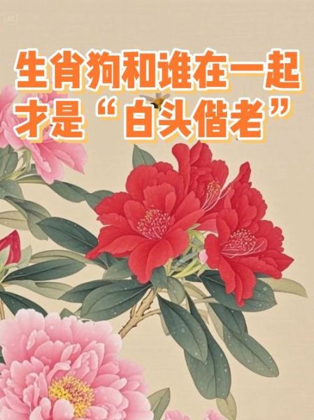 生肖狗和属相(生肖狗和什么属相最合得来?)