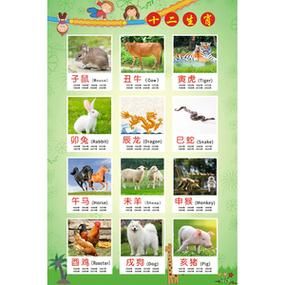 生肖属相墙贴纸（小户型生肖墙贴怎么贴好看）